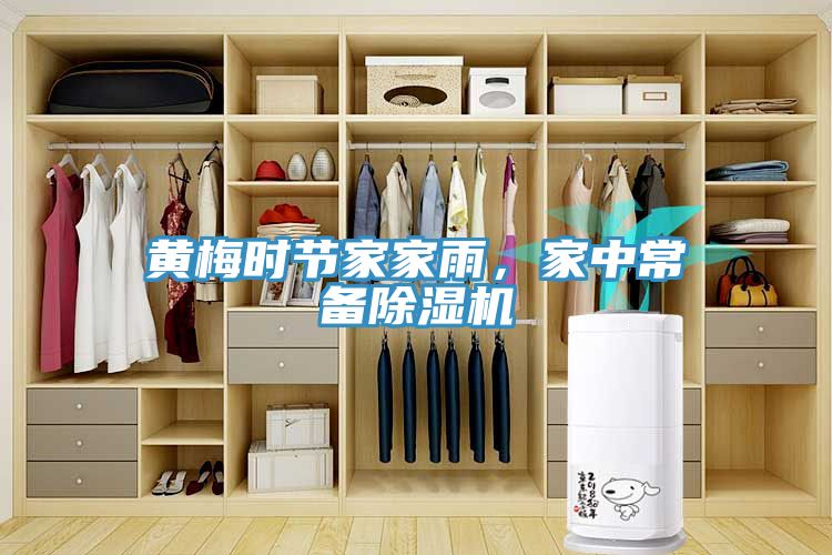 黃梅時節(jié)家家雨，家中常備除濕機