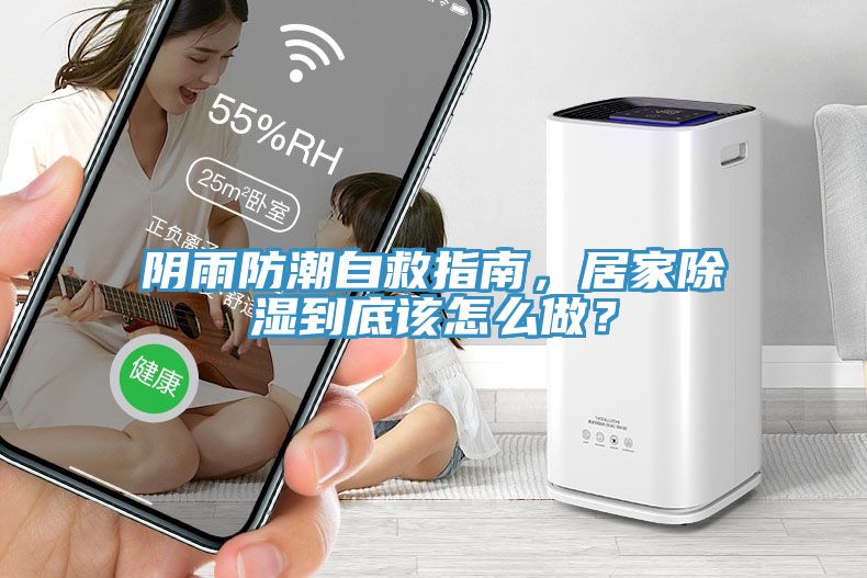 陰雨防潮自救指南，居家除濕到底該怎么做？