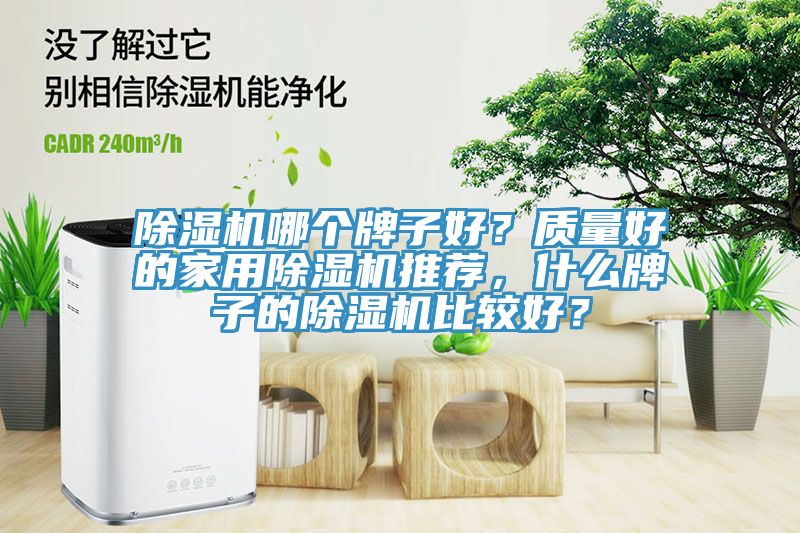 除濕機(jī)哪個(gè)牌子好？質(zhì)量好的家用除濕機(jī)推薦，什么牌子的除濕機(jī)比較好？