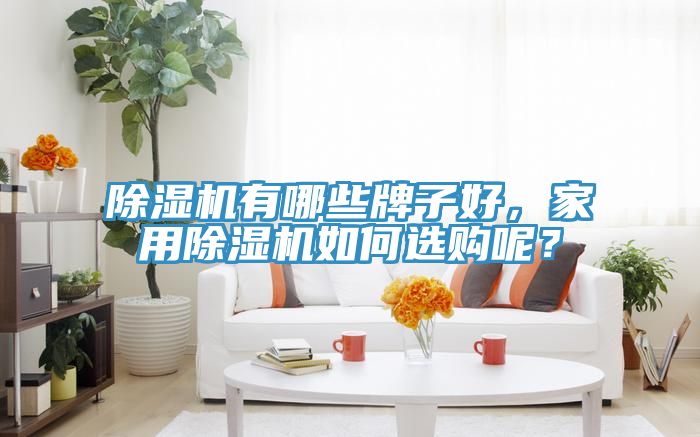 除濕機(jī)有哪些牌子好，家用除濕機(jī)如何選購呢？