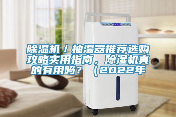 除濕機(jī)／抽濕器推薦選購攻略實用指南，除濕機(jī)真的有用嗎？（2022年