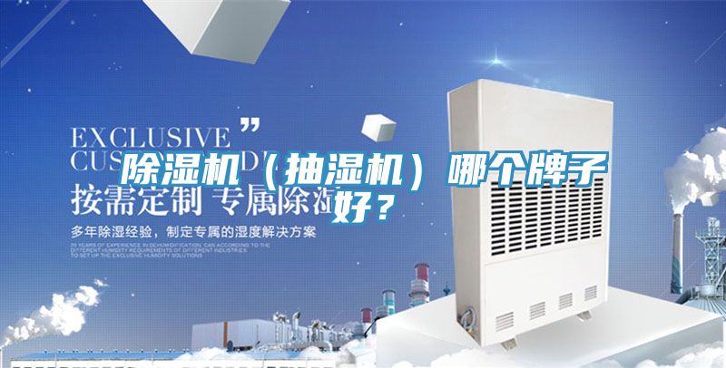除濕機（抽濕機）哪個牌子好？