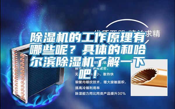 除濕機(jī)的工作原理有哪些呢？具體的和哈爾濱除濕機(jī)了解一下吧！
