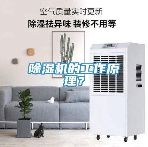 除濕機(jī)的工作原理？