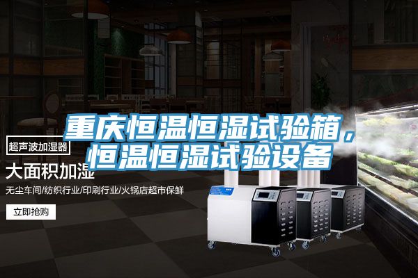 重慶恒溫恒濕試驗箱，恒溫恒濕試驗設(shè)備