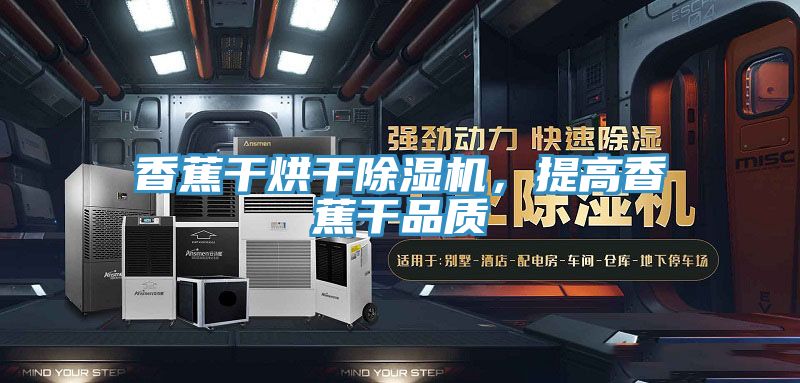 香蕉干烘干除濕機(jī)，提高香蕉干品質(zhì)