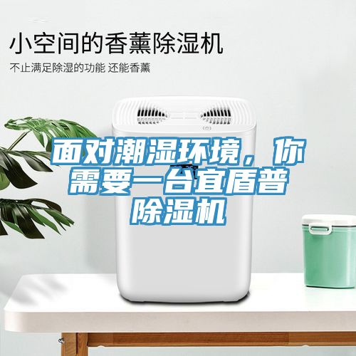 面對(duì)潮濕環(huán)境，你需要一臺(tái)宜盾普除濕機(jī)