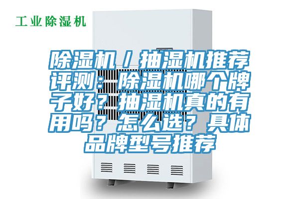 除濕機(jī)／抽濕機(jī)推薦評測：除濕機(jī)哪個牌子好？抽濕機(jī)真的有用嗎？怎么選？具體品牌型號推薦
