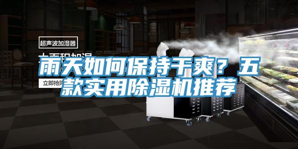 雨天如何保持干爽？五款實用除濕機推薦