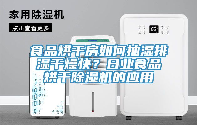食品烘干房如何抽濕排濕干燥快？日業(yè)食品烘干除濕機(jī)的應(yīng)用