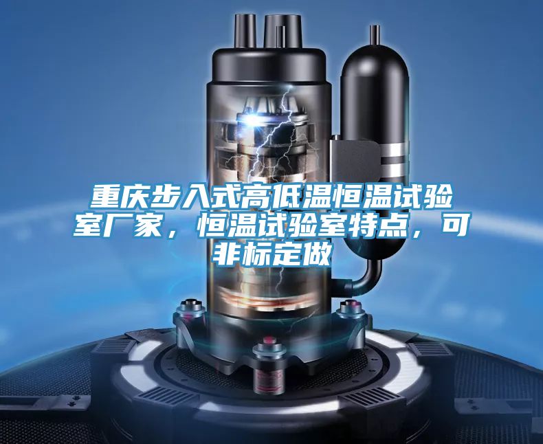 重慶步入式高低溫恒溫試驗室廠家，恒溫試驗室特點，可非標定做