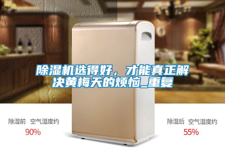 除濕機選得好，才能真正解決黃梅天的煩惱_重復