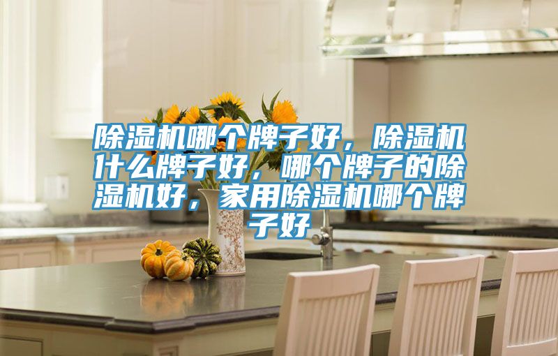 除濕機(jī)哪個(gè)牌子好，除濕機(jī)什么牌子好，哪個(gè)牌子的除濕機(jī)好，家用除濕機(jī)哪個(gè)牌子好