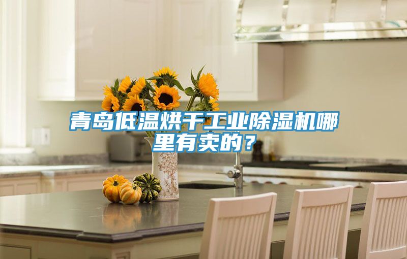 青島低溫烘干工業(yè)除濕機(jī)哪里有賣的？