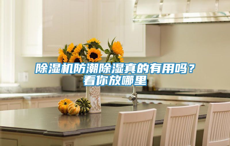 除濕機防潮除濕真的有用嗎？看你放哪里