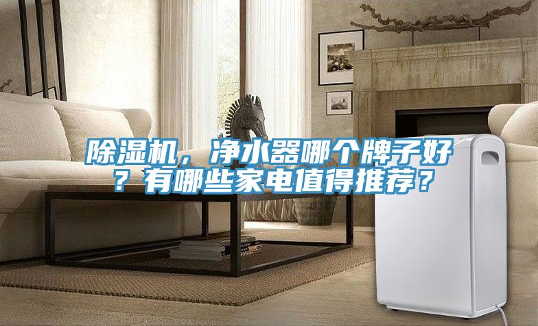 除濕機，凈水器哪個牌子好？有哪些家電值得推薦？