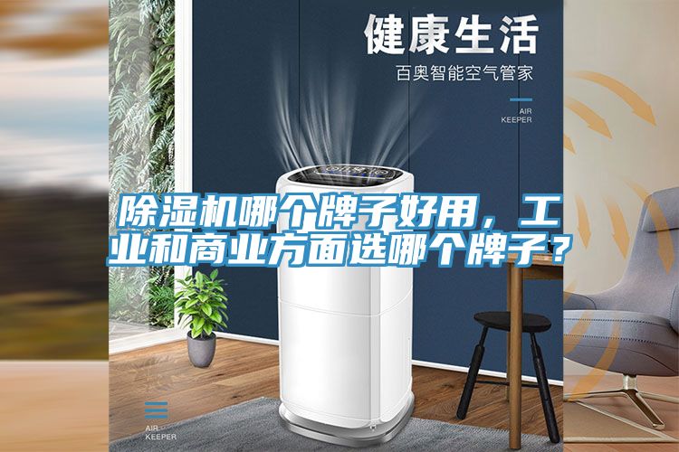 除濕機(jī)哪個(gè)牌子好用，工業(yè)和商業(yè)方面選哪個(gè)牌子？