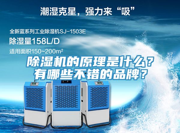 除濕機(jī)的原理是什么？有哪些不錯的品牌？
