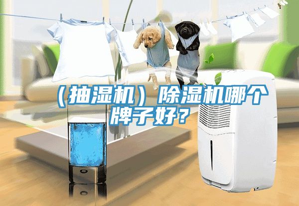 （抽濕機(jī)）除濕機(jī)哪個(gè)牌子好？
