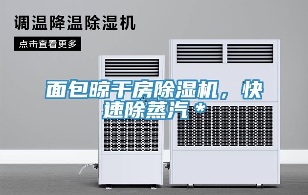 面包晾干房除濕機(jī)，快速除蒸汽＊