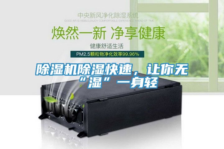 除濕機(jī)除濕快速，讓你無“濕”一身輕