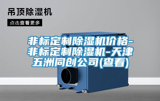 非標定制除濕機價格-非標定制除濕機-天津五洲同創(chuàng)公司(查看)