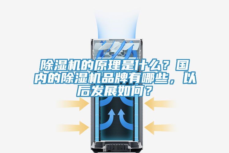 除濕機(jī)的原理是什么？國內(nèi)的除濕機(jī)品牌有哪些，以后發(fā)展如何？