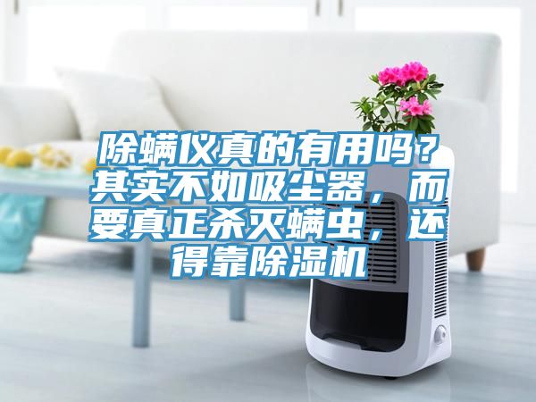 除螨儀真的有用嗎？其實不如吸塵器，而要真正殺滅螨蟲，還得靠除濕機