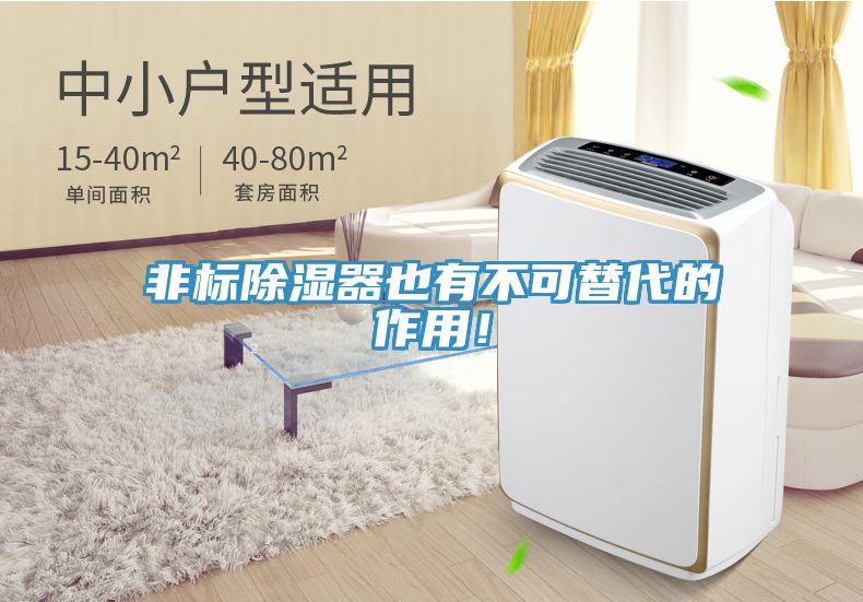 非標(biāo)除濕器也有不可替代的作用！