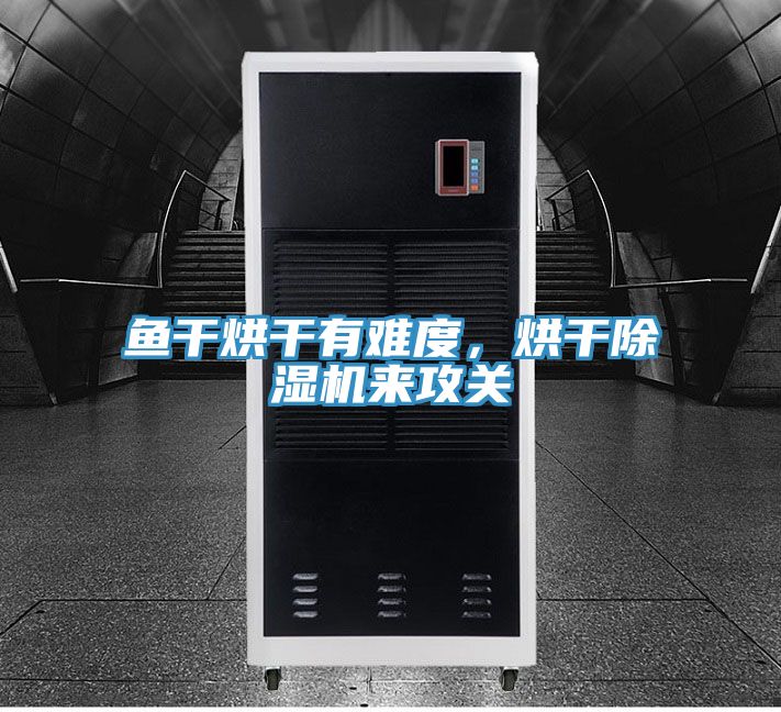 魚干烘干有難度，烘干除濕機來攻關