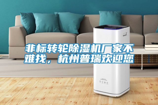 非標轉(zhuǎn)輪除濕機廠家不難找，杭州普瑞歡迎您