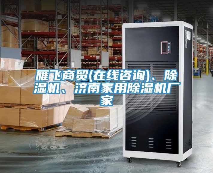 雁飛商貿(mào)(在線咨詢)、除濕機、濟南家用除濕機廠家