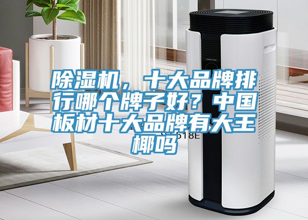 除濕機，十大品牌排行哪個牌子好？中國板材十大品牌有大王椰嗎