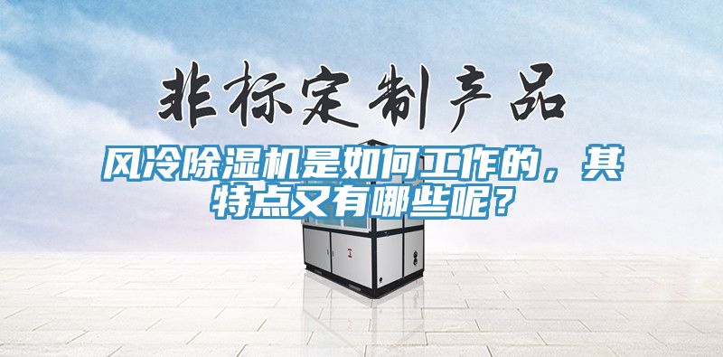 風冷除濕機是如何工作的，其特點又有哪些呢？