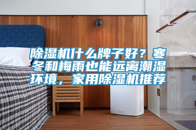 除濕機(jī)什么牌子好？寒冬和梅雨也能遠(yuǎn)離潮濕環(huán)境，家用除濕機(jī)推薦