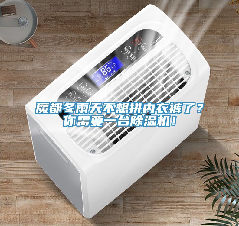 魔都冬雨天不想拼內衣褲了？你需要一臺除濕機！
