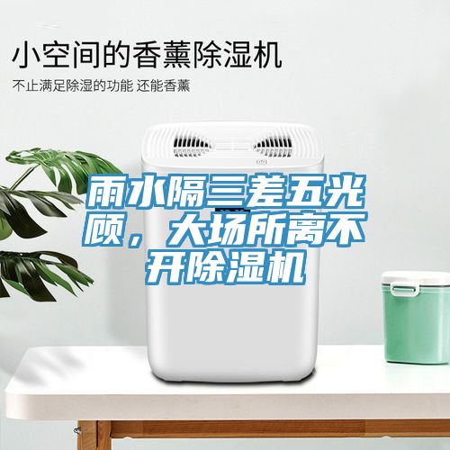 雨水隔三差五光顧，大場所離不開除濕機(jī)