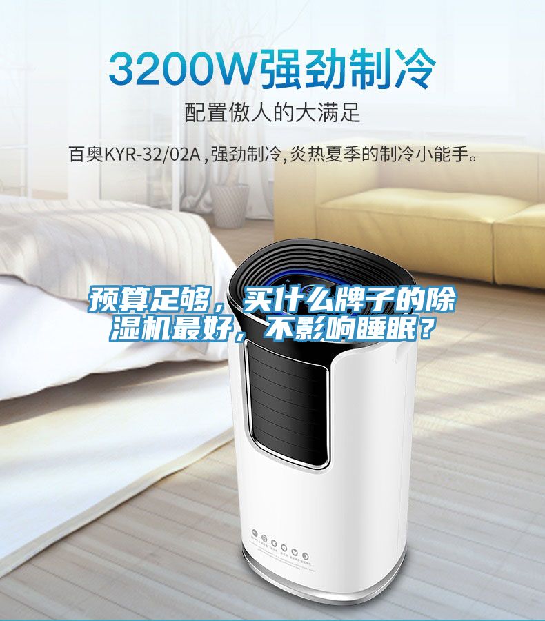 預(yù)算足夠，買什么牌子的除濕機(jī)最好，不影響睡眠？