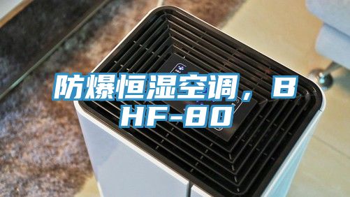 防爆恒濕空調(diào)，BHF-80