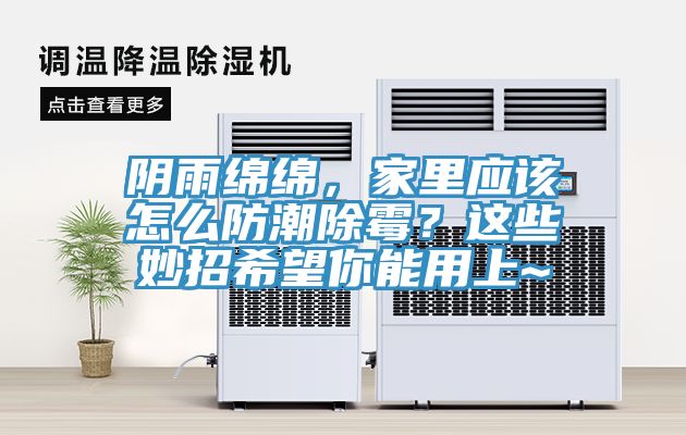 陰雨綿綿，家里應該怎么防潮除霉？這些妙招希望你能用上~