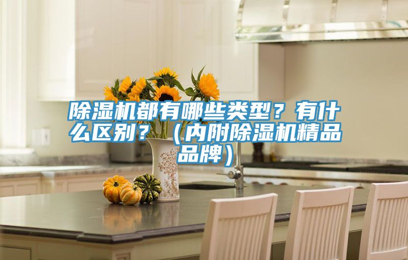 除濕機(jī)都有哪些類(lèi)型？有什么區(qū)別？（內(nèi)附除濕機(jī)精品品牌）