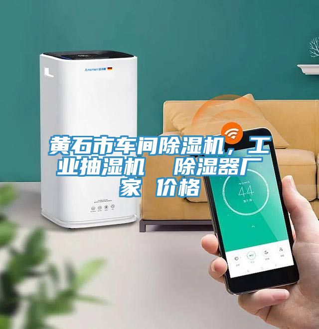 黃石市車間除濕機，工業(yè)抽濕機  除濕器廠家 價格