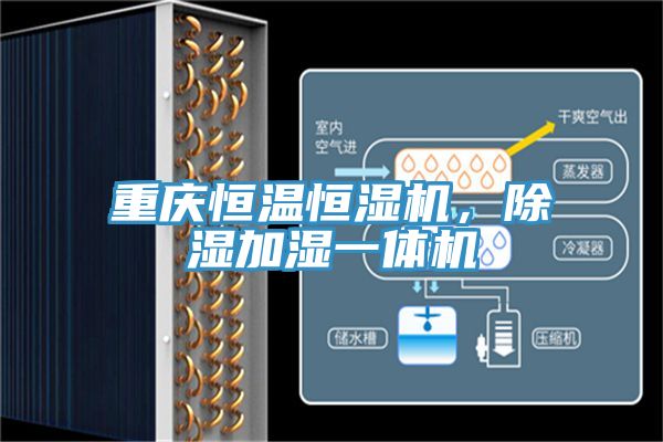 重慶恒溫恒濕機(jī)，除濕加濕一體機(jī)