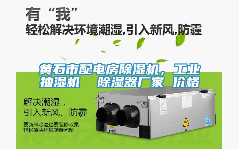 黃石市配電房除濕機，工業(yè)抽濕機  除濕器廠家 價格