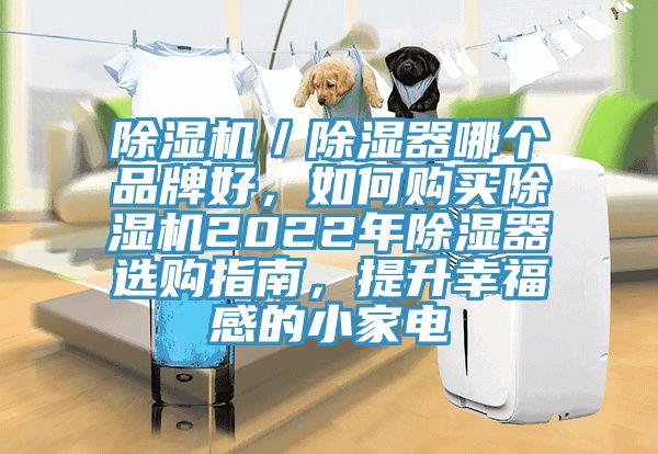 除濕機(jī)／除濕器哪個品牌好，如何購買除濕機(jī)2022年除濕器選購指南，提升幸福感的小家電