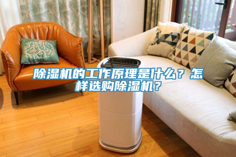 除濕機(jī)的工作原理是什么？怎樣選購(gòu)除濕機(jī)？