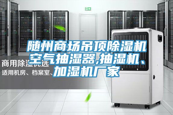 隨州商場吊頂除濕機空氣抽濕器,抽濕機、加濕機廠家