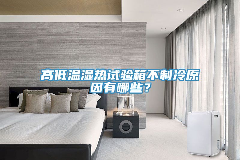 高低溫濕熱試驗(yàn)箱不制冷原因有哪些？