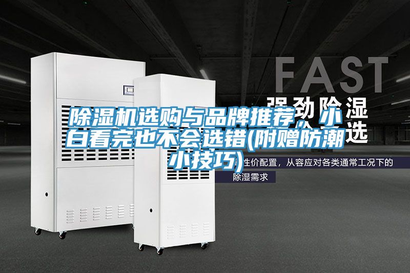除濕機(jī)選購(gòu)與品牌推薦，小白看完也不會(huì)選錯(cuò)(附贈(zèng)防潮小技巧)