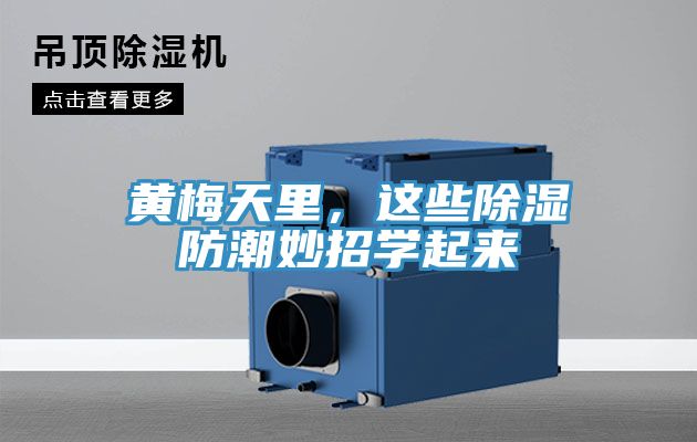 黃梅天里，這些除濕防潮妙招學(xué)起來